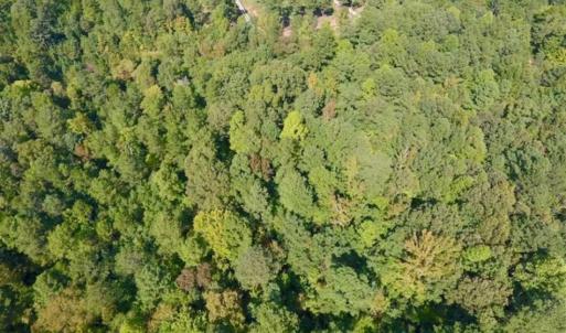 Photo of SOLD!!  7.6 Acres of Residential Land For Sale in Franklin County NC!