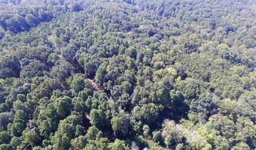 Photo of 35.57 Acres of Recreational and Hunting Land For Sale in Bedford County VA!