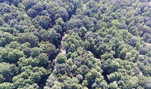 Photo of 35.57 Acres of Recreational and Hunting Land For Sale in Bedford County VA!