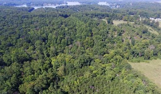 Photo of 35.57 Acres of Recreational and Hunting Land For Sale in Bedford County VA!