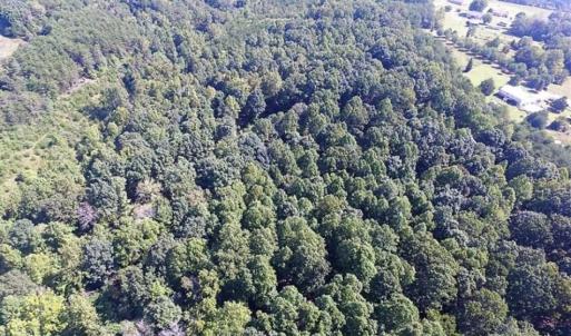 Photo of 35.57 Acres of Recreational and Hunting Land For Sale in Bedford County VA!