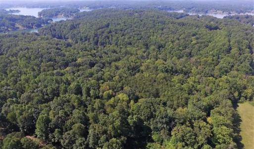 Photo of 35.57 Acres of Recreational and Hunting Land For Sale in Bedford County VA!