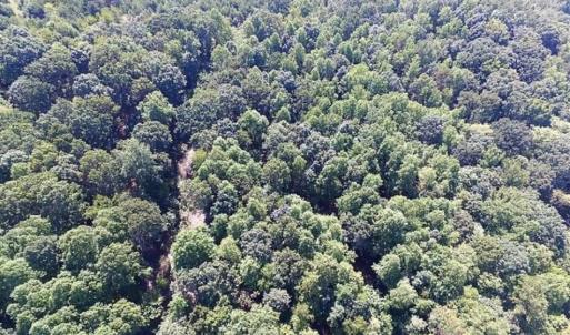 Photo of 35.57 Acres of Recreational and Hunting Land For Sale in Bedford County VA!