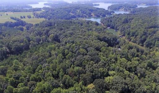 Photo of 35.57 Acres of Recreational and Hunting Land For Sale in Bedford County VA!