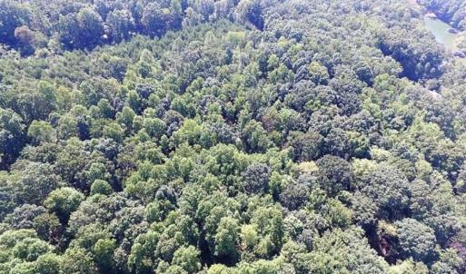 Photo of 35.57 Acres of Recreational and Hunting Land For Sale in Bedford County VA!