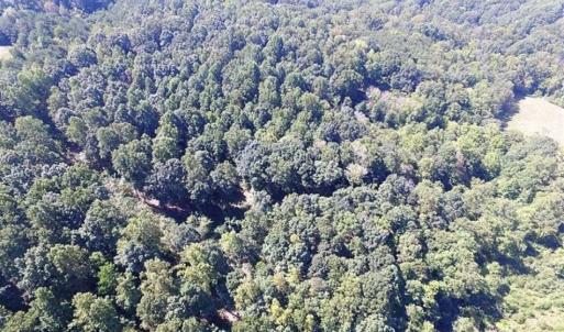 Photo of 35.57 Acres of Recreational and Hunting Land For Sale in Bedford County VA!