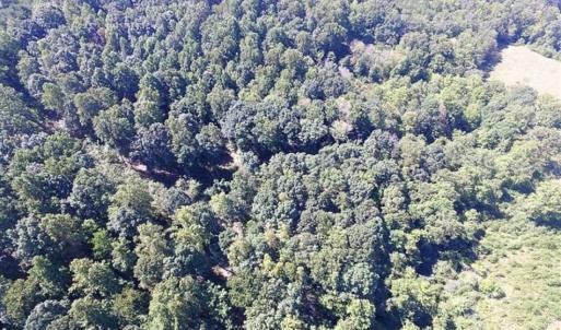 Photo of 35.57 Acres of Recreational and Hunting Land For Sale in Bedford County VA!