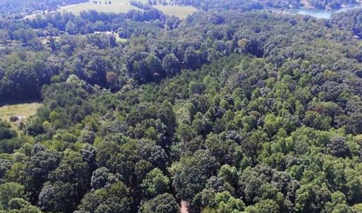 Photo of 35.57 Acres of Recreational and Hunting Land For Sale in Bedford County VA!