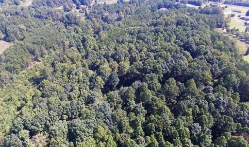 Photo of 35.57 Acres of Recreational and Hunting Land For Sale in Bedford County VA!