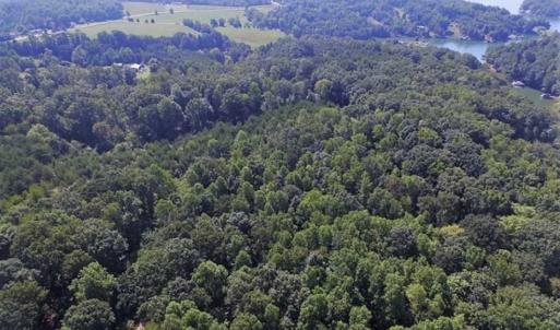 Photo of 35.57 Acres of Recreational and Hunting Land For Sale in Bedford County VA!
