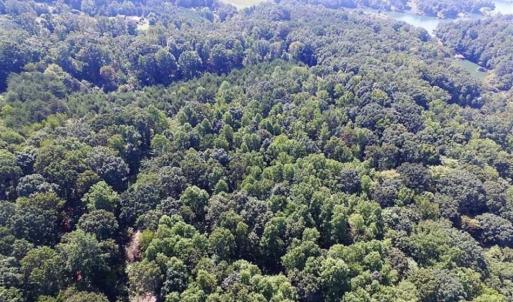Photo of 35.57 Acres of Recreational and Hunting Land For Sale in Bedford County VA!