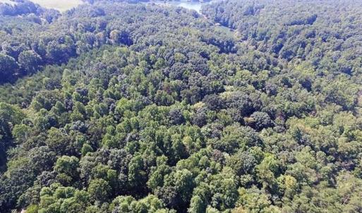 Photo of 35.57 Acres of Recreational and Hunting Land For Sale in Bedford County VA!