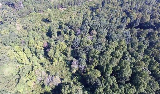 Photo of 35.57 Acres of Recreational and Hunting Land For Sale in Bedford County VA!
