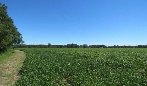 Photo of SOLD!!  97 Acres of Farm and Timber Land For Sale in Columbus County NC!