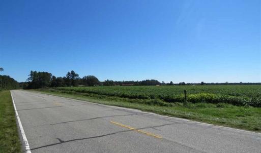 Photo of SOLD!!  97 Acres of Farm and Timber Land For Sale in Columbus County NC!
