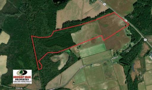 Photo of SOLD!!  97 Acres of Farm and Timber Land For Sale in Columbus County NC!