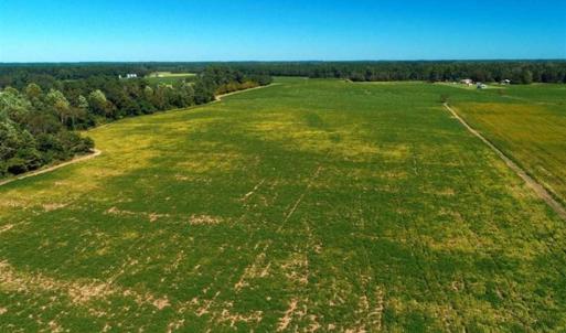Photo of SOLD!!  97 Acres of Farm and Timber Land For Sale in Columbus County NC!