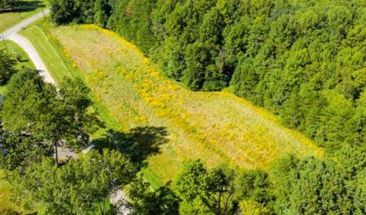 Photo of 37.08 Acres of Farm and Hunting Land for Sale in Stokes County NC!