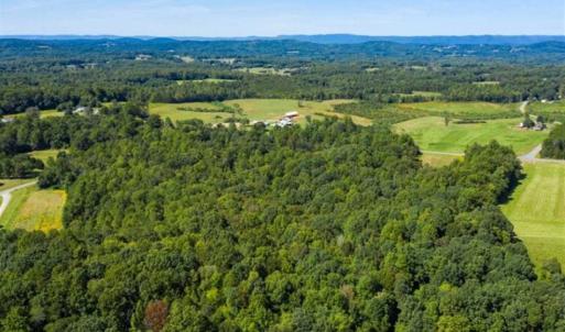 Photo of 37.08 Acres of Farm and Hunting Land for Sale in Stokes County NC!
