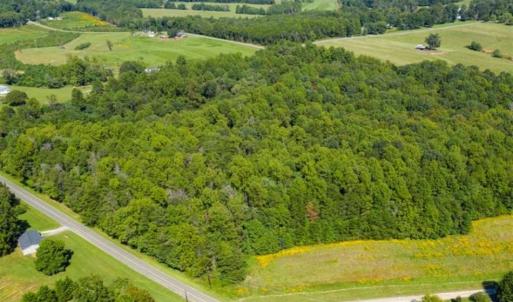 Photo of 37.08 Acres of Farm and Hunting Land for Sale in Stokes County NC!