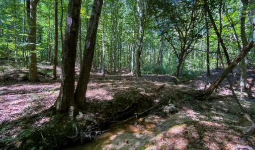 Photo of 37.08 Acres of Farm and Hunting Land for Sale in Stokes County NC!