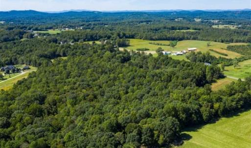 Photo of 37.08 Acres of Farm and Hunting Land for Sale in Stokes County NC!