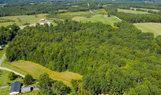 Photo of 37.08 Acres of Farm and Hunting Land for Sale in Stokes County NC!