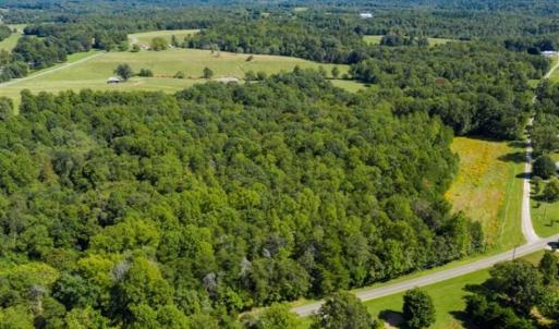 Photo of 37.08 Acres of Farm and Hunting Land for Sale in Stokes County NC!