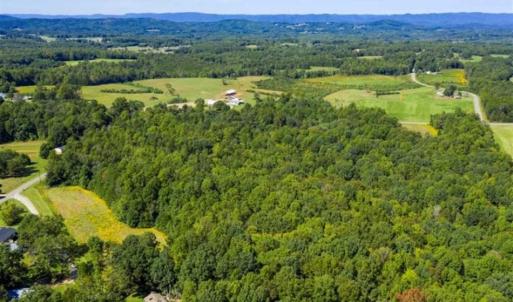 Photo of 37.08 Acres of Farm and Hunting Land for Sale in Stokes County NC!