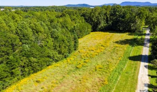Photo of 37.08 Acres of Farm and Hunting Land for Sale in Stokes County NC!