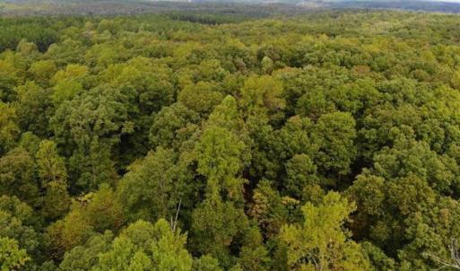 Photo of SOLD!! 95.7 Acres of Timber Land For Sale in Buckingham County VA!