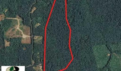 Photo of SOLD!! 95.7 Acres of Timber Land For Sale in Buckingham County VA!
