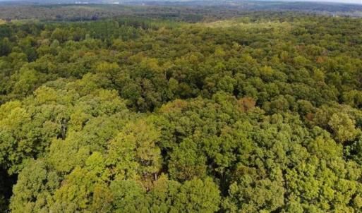 Photo of SOLD!! 95.7 Acres of Timber Land For Sale in Buckingham County VA!
