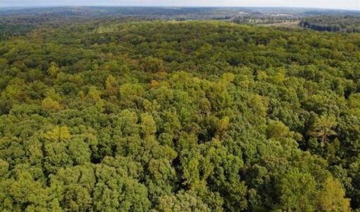 Photo of SOLD!! 95.7 Acres of Timber Land For Sale in Buckingham County VA!