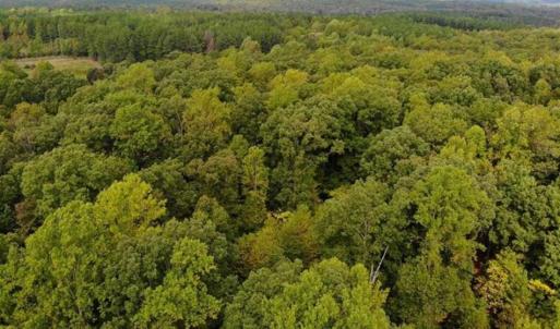 Photo of SOLD!! 95.7 Acres of Timber Land For Sale in Buckingham County VA!