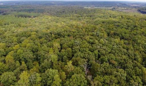 Photo of SOLD!! 95.7 Acres of Timber Land For Sale in Buckingham County VA!