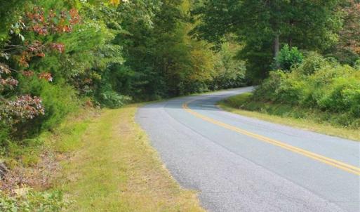 Photo of SOLD!! 95.7 Acres of Timber Land For Sale in Buckingham County VA!