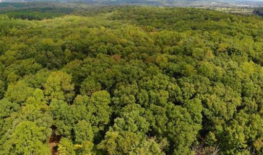 Photo of SOLD!! 95.7 Acres of Timber Land For Sale in Buckingham County VA!