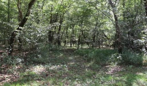 Photo of SOLD!!  6.84 Acres of Hunting and Residential Land For Sale in Caswell County NC!