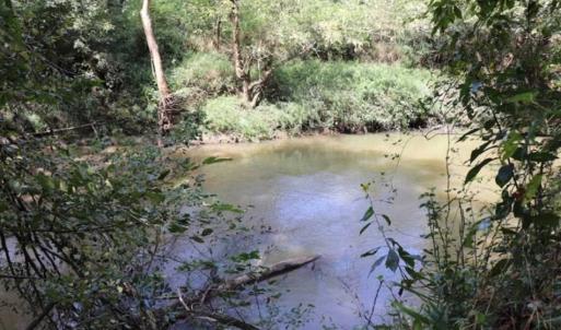 Photo of SOLD!!  6.84 Acres of Hunting and Residential Land For Sale in Caswell County NC!