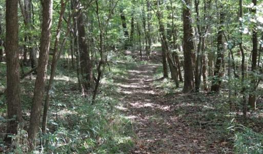 Photo of SOLD!!  6.84 Acres of Hunting and Residential Land For Sale in Caswell County NC!