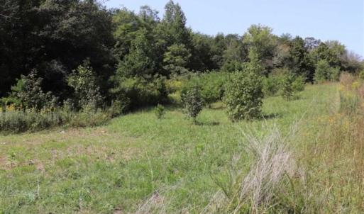 Photo of SOLD!!  6.84 Acres of Hunting and Residential Land For Sale in Caswell County NC!