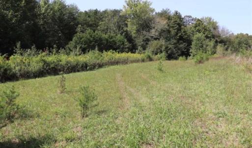 Photo of SOLD!!  6.84 Acres of Hunting and Residential Land For Sale in Caswell County NC!