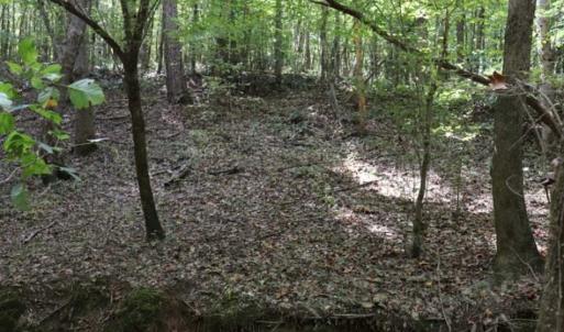 Photo of SOLD!!  6.84 Acres of Hunting and Residential Land For Sale in Caswell County NC!