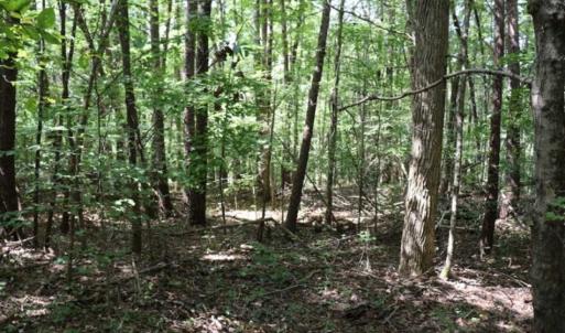 Photo of SOLD!!  6.84 Acres of Hunting and Residential Land For Sale in Caswell County NC!