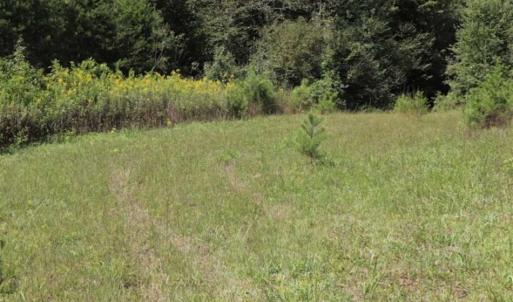 Photo of SOLD!!  6.84 Acres of Hunting and Residential Land For Sale in Caswell County NC!