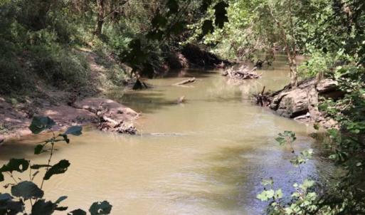 Photo of SOLD!!  6.84 Acres of Hunting and Residential Land For Sale in Caswell County NC!