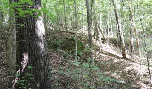 Photo of SOLD!!  6.84 Acres of Hunting and Residential Land For Sale in Caswell County NC!