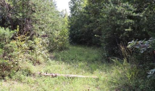Photo of SOLD!!  6.84 Acres of Hunting and Residential Land For Sale in Caswell County NC!