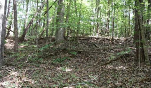 Photo of SOLD!!  6.84 Acres of Hunting and Residential Land For Sale in Caswell County NC!